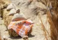 İzmir Tarımı Geliştirme Merkezine ödül