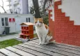 Yeni yılda ‘sıcak yuva’