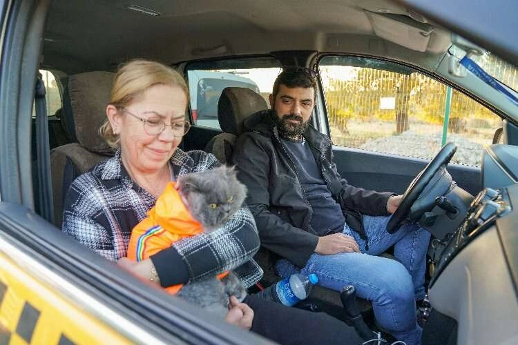 Hayvan dostu taksi haberinin görseli