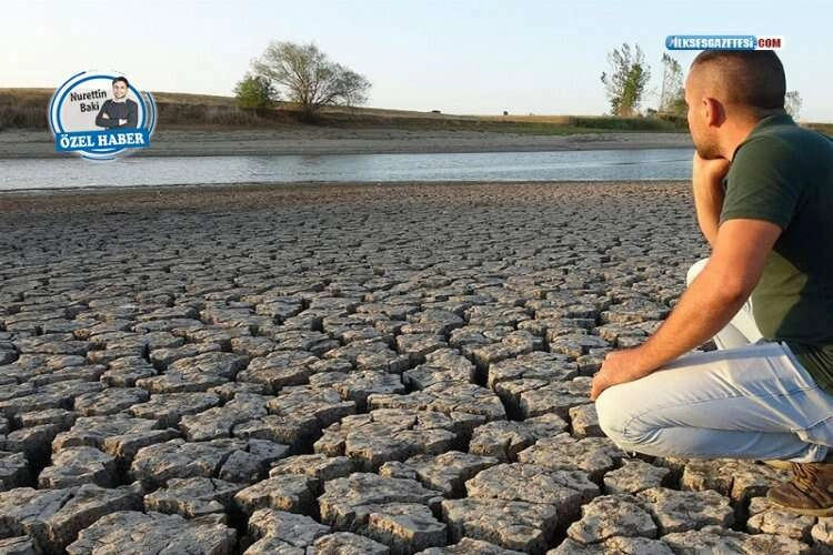 Ege’de Kurak Günler:  Yağış yok, üretici tedirgin! haberinin görseli
