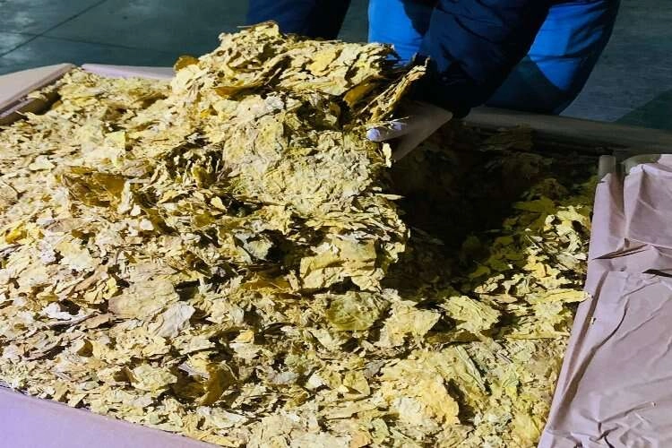 Yeni yılın ilk büyük kaçak tütün yakalaması İzmir'den haberinin görseli