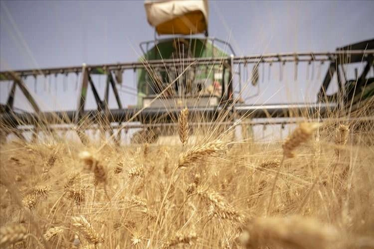 Küresel gıda fiyatları 2022'de rekor seviyeye ulaştı haberinin görseli