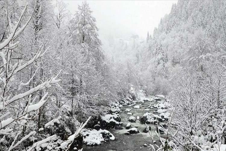Artvin'de eğitime kar engeli haberinin görseli