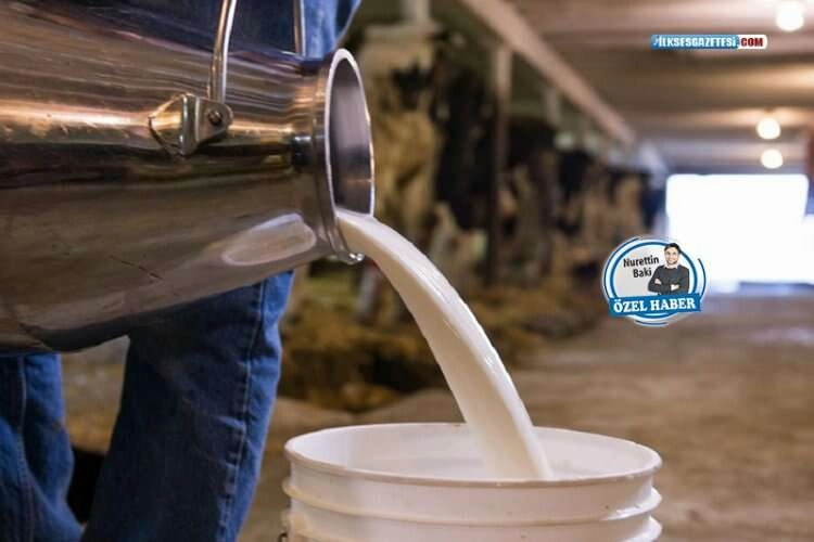 Süt krizinde yeni perde: “USK devre dışı kaldı” haberinin görseli