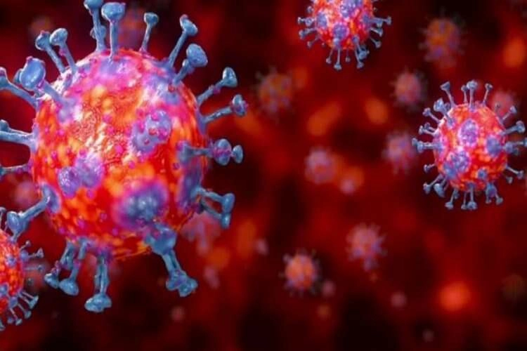 Doç. Dr. Doksöz: “Virüs enfeksiyonları kalbinizi vurmasın” haberinin görseli