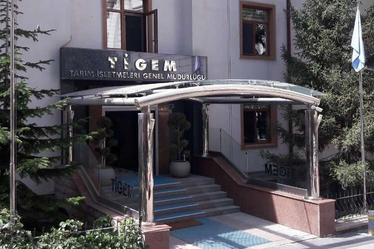 Tarım İşletmeleri Genel Müdürlüğü 50 personel alacak haberinin görseli