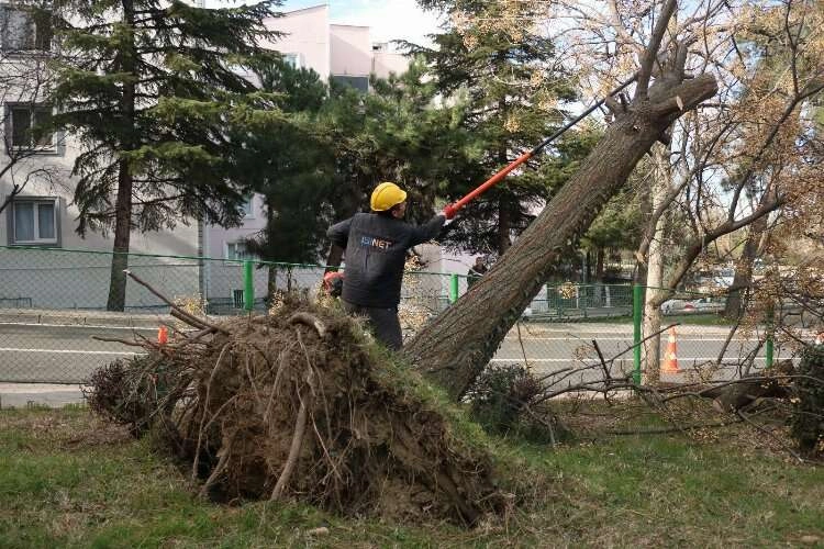 Bursa'da şiddetli lodosun etkisi sürüyor haberinin görseli