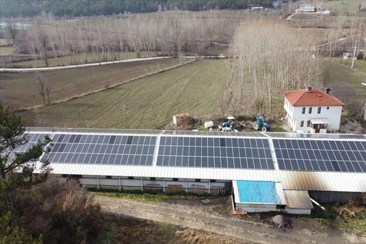 Bolu'da tavuk üreticileri elektrik ihtiyacını güneş enerjisinden karşılıyor haberinin görseli