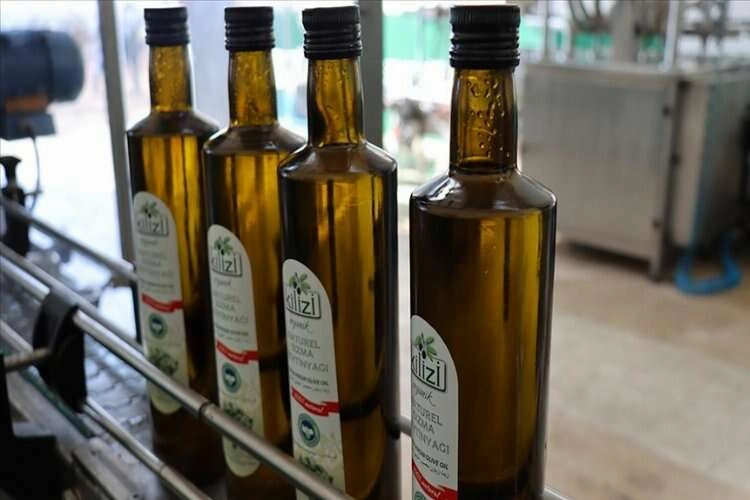 Kilis zeytinyağının AB'ye tescil başvurusu üreticileri sevindirdi haberinin görseli