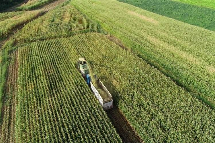 Çiftçilere yaklaşık 972 milyon liralık tarımsal destek ödemesine bugün başlanıyor haberinin görseli