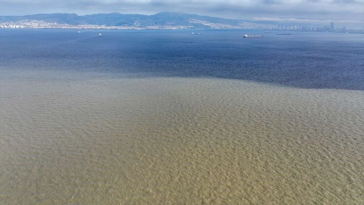 İzmir'de sağanak etkili oldu - 491