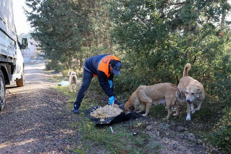 Buca'da atık yemekler can dostlarına gidiyor