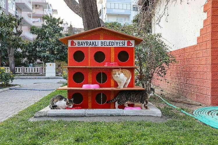 Bayraklı Belediyesi can dostları unutmadı haberinin görseli