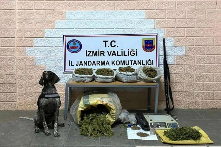 İzmir’de zehir tacirlerine ‘kökünü kurutma operasyonu' haberinin görseli