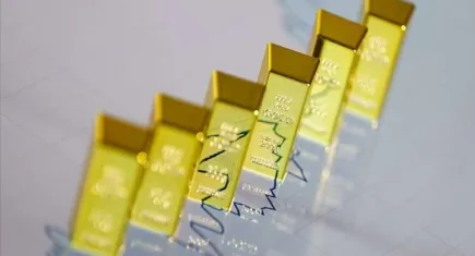 Ocakta en yüksek aylık reel getiri külçe altında