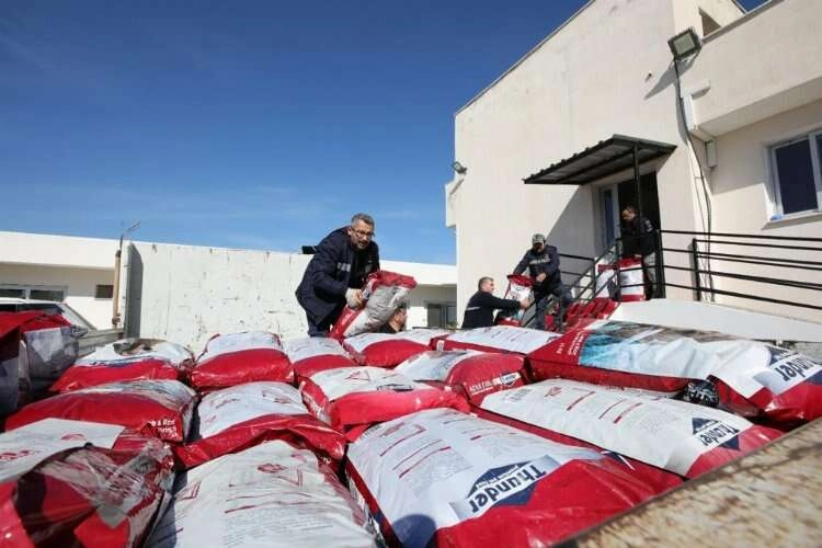 Bayraklı Belediyesi'nden deprem mağduru can dostlara mama desteği haberinin görseli