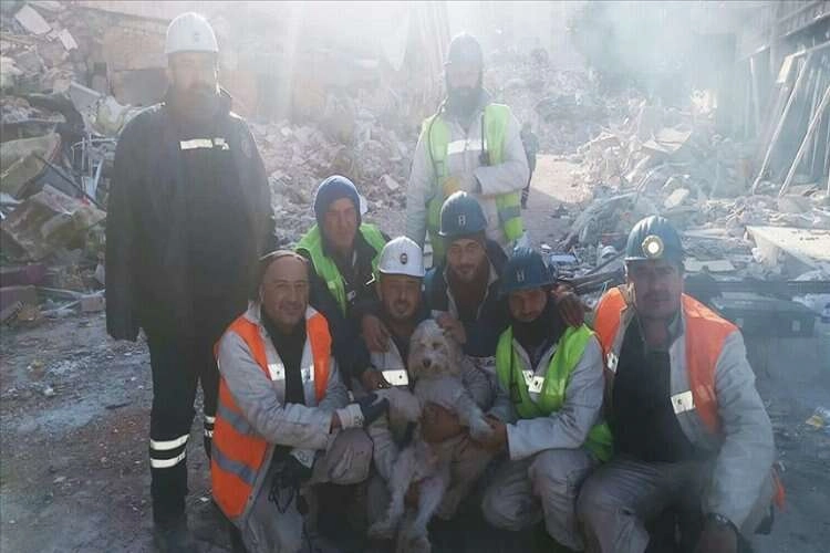 Hatay'da depremde hasar gören binada mahsur kalan köpeği madenciler kurtardı haberinin görseli
