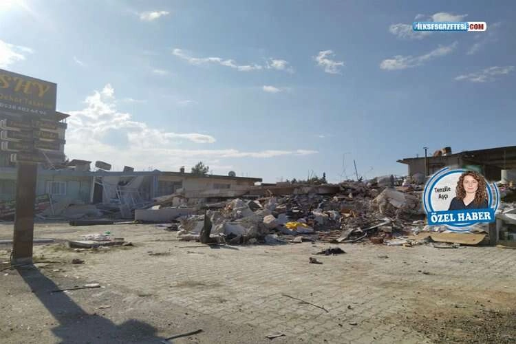 CHP'li Sertel: Patates yerine bina dikmişiz haberinin görseli