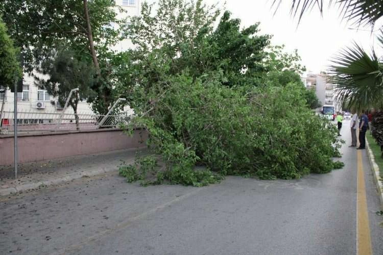 Meteoroloji'den Aydın'a kuvvetli rüzgar ve fırtına uyarısı haberinin görseli