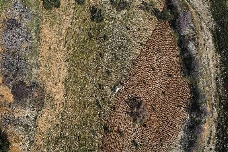 Deprem bölgesinde tarımsal faaliyet hareketleniyor haberinin görseli