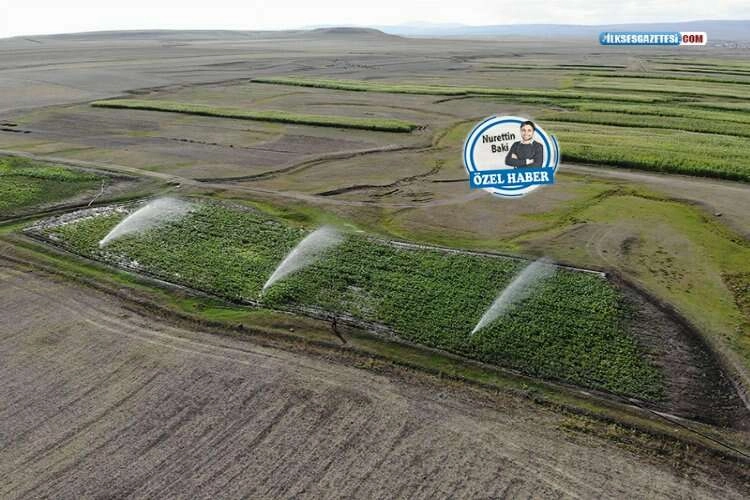 Cemre düşecek su bulamadı: Yerin altı susuz kaldı haberinin görseli