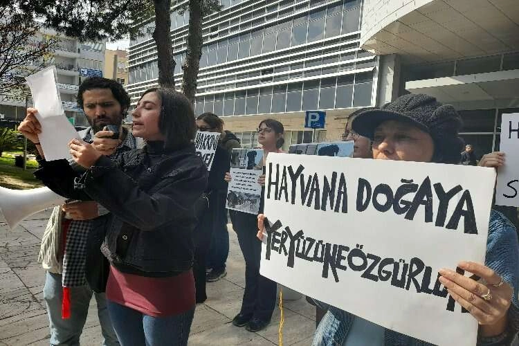 Hayvanseverlerden Gaziemir Belediyesi önünde protesto eylemi haberinin görseli