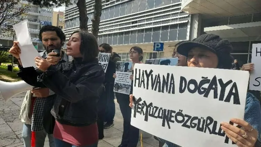 Hayvanseverlerden Gaziemir Belediyesi önünde protesto eylemi