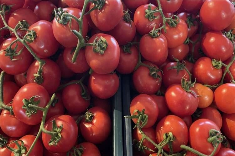 14 Nisan'a kadar domates ihracatına kısıtlama haberinin görseli
