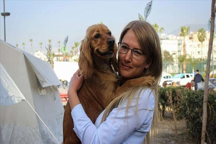 Kurulan çadırlar hayvanlara da yuva oldu haberinin görseli