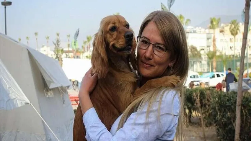 Kurulan çadırlar hayvanlara da yuva oldu