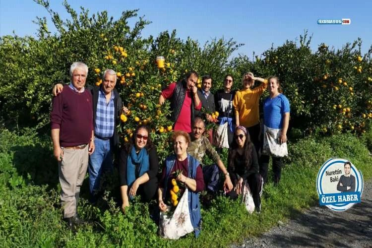 Kadın ziraat mühendisi olmak: Cinsiyetçilik, gelir eşitsizliği! haberinin görseli