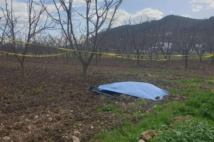 Manisa'da tarlada erkek cesedi bulundu haberinin görseli