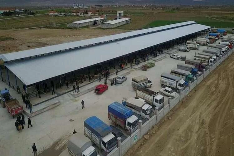 Denizli'de hayvan pazarına salgın engeli haberinin görseli