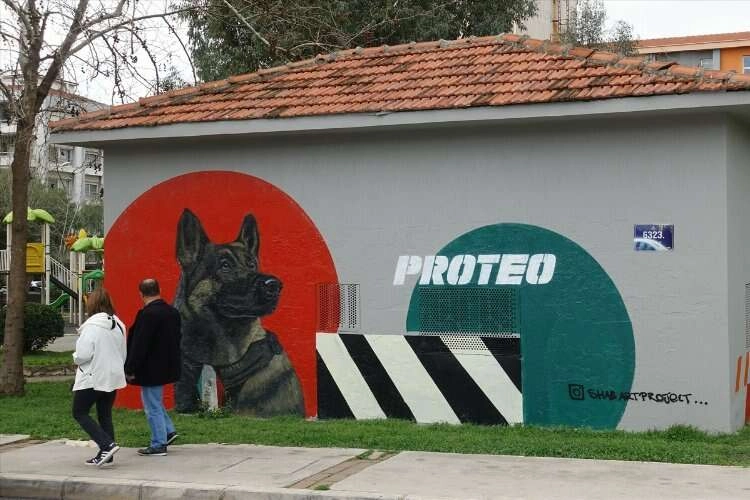 Kahraman köpek Proteo, Karşıyaka'da ölümsüzleşti haberinin görseli
