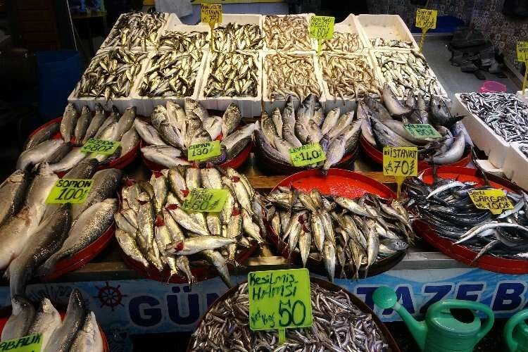 Balık avında Karadeniz'i bekleyen tehlike haberinin görseli