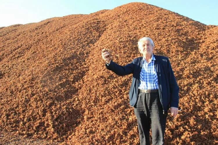 Kömür fiyatları çam fıstığı kabukları değerlendi haberinin görseli