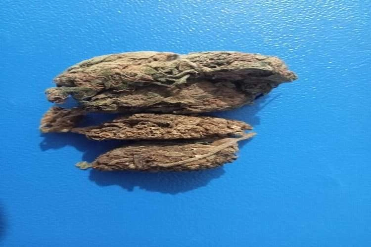 Aydın'daki üst aramasından uyuşturucu madde çıktı haberinin görseli