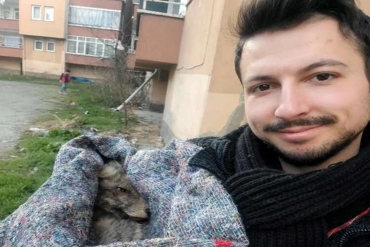 Kütahyalı hayvan sever ormanlık alandaki tilkiyi ölmekten kurtardı haberinin görseli