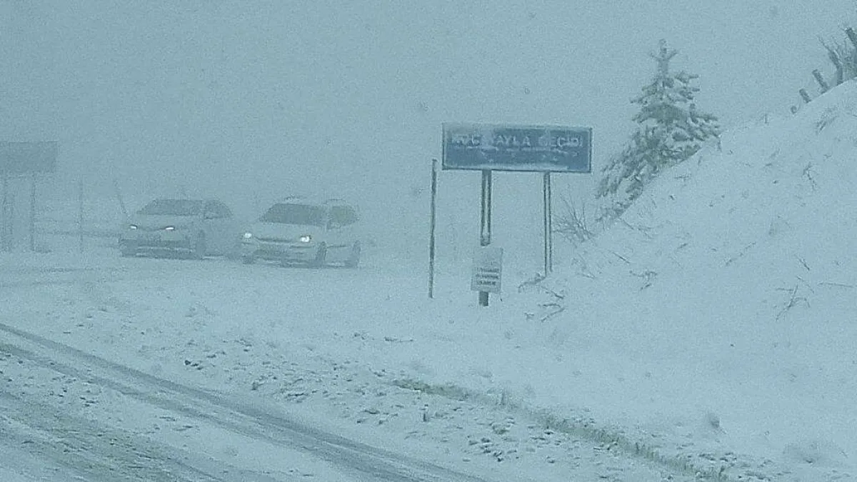 Mart ayında kara teslim - 552