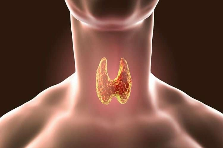 “Hashimoto hastalığı vücuttaki tüm organları etkileyebilir