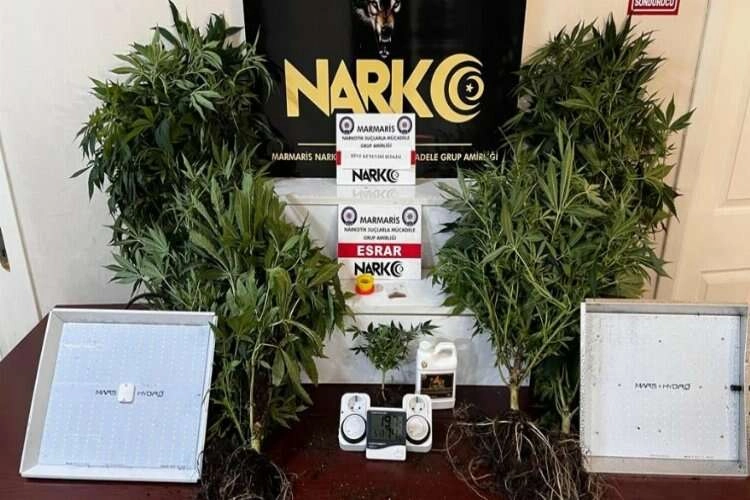 Uyuşturucu üretmek için evini seraya çevirdi haberinin görseli