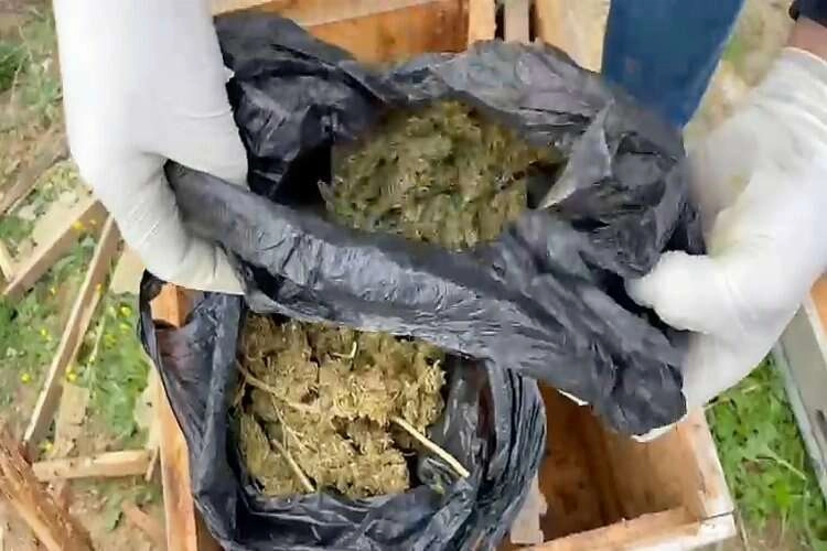 Sazlıkta uyuşturucu gizleyen baba oğul yargılandı haberinin görseli