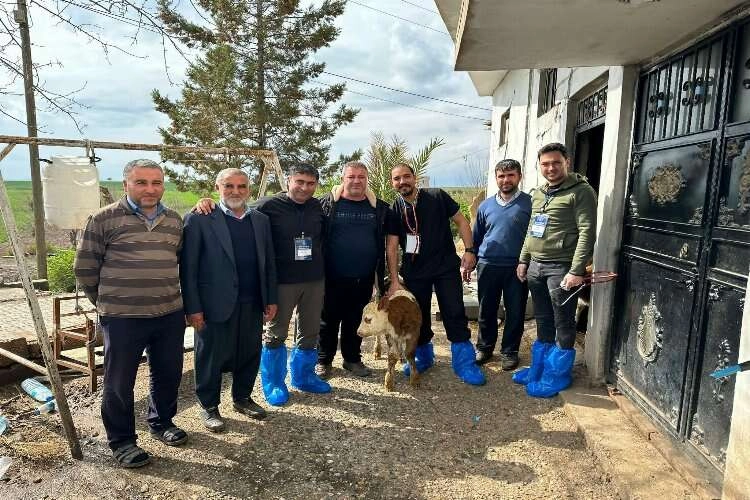 DEÜ'lü uzmanlar deprem bölgesinde şap virüsü uyarısı yaptı haberinin görseli