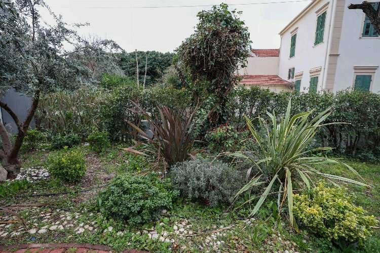 Buca’da yağmur suyu hasadı başladı haberinin görseli