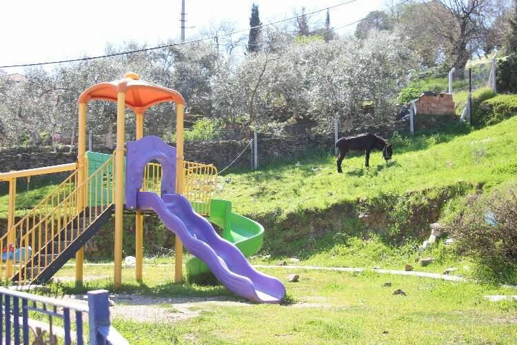 Parklarda çocukların yerini eşekler aldı haberinin görseli