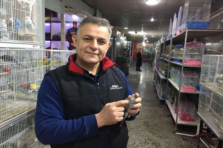 Depremi haber veren muhabbet kuşlarına yoğun ilgi haberinin görseli