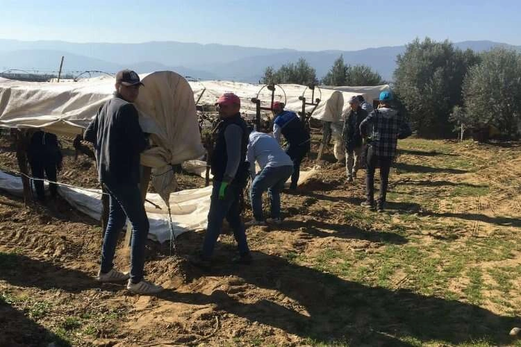 Üzüm bağlarına kar şoku: Örtü altında kalacaklar haberinin görseli