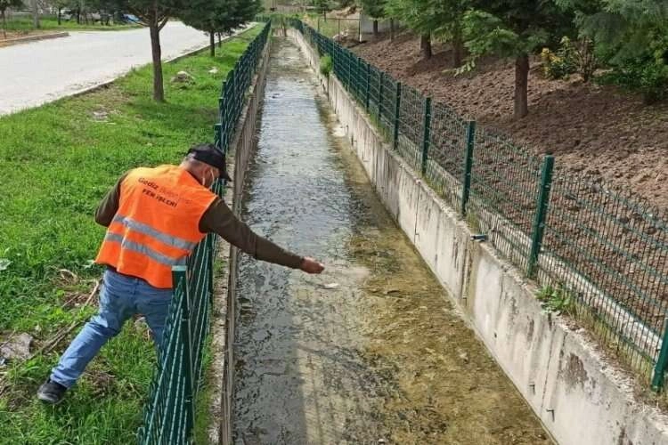 Kütahya'da yaza hazırlık: Sineklere karşı larva ile mücadele haberinin görseli