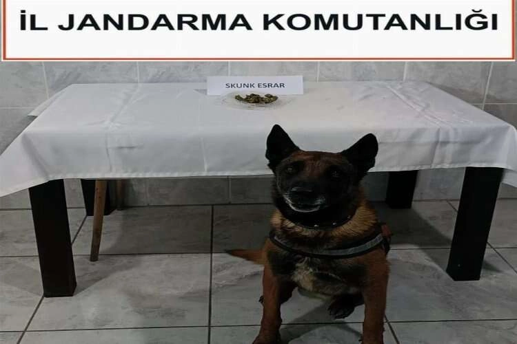 Uyuşturucu denetiminde 'Kont' desteği haberinin görseli