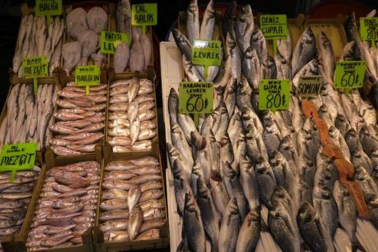 Balıkesir'de balık halinde bereket haberinin görseli